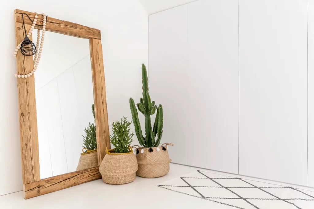 Des objets de décoration d'intérieur : un miroir décoratif et un cactus