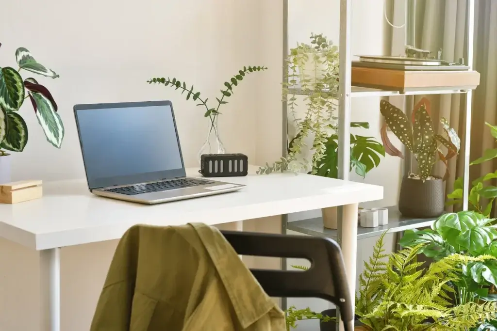 Un bureau aménagé avec une variété de plante décorative d'intérieur