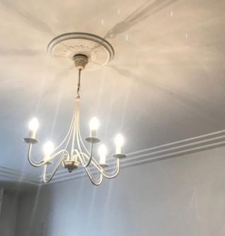 WhatsApp Image 2025-01-31 at 15.56.29