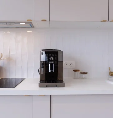 photo-rue-roquette-paysage-2